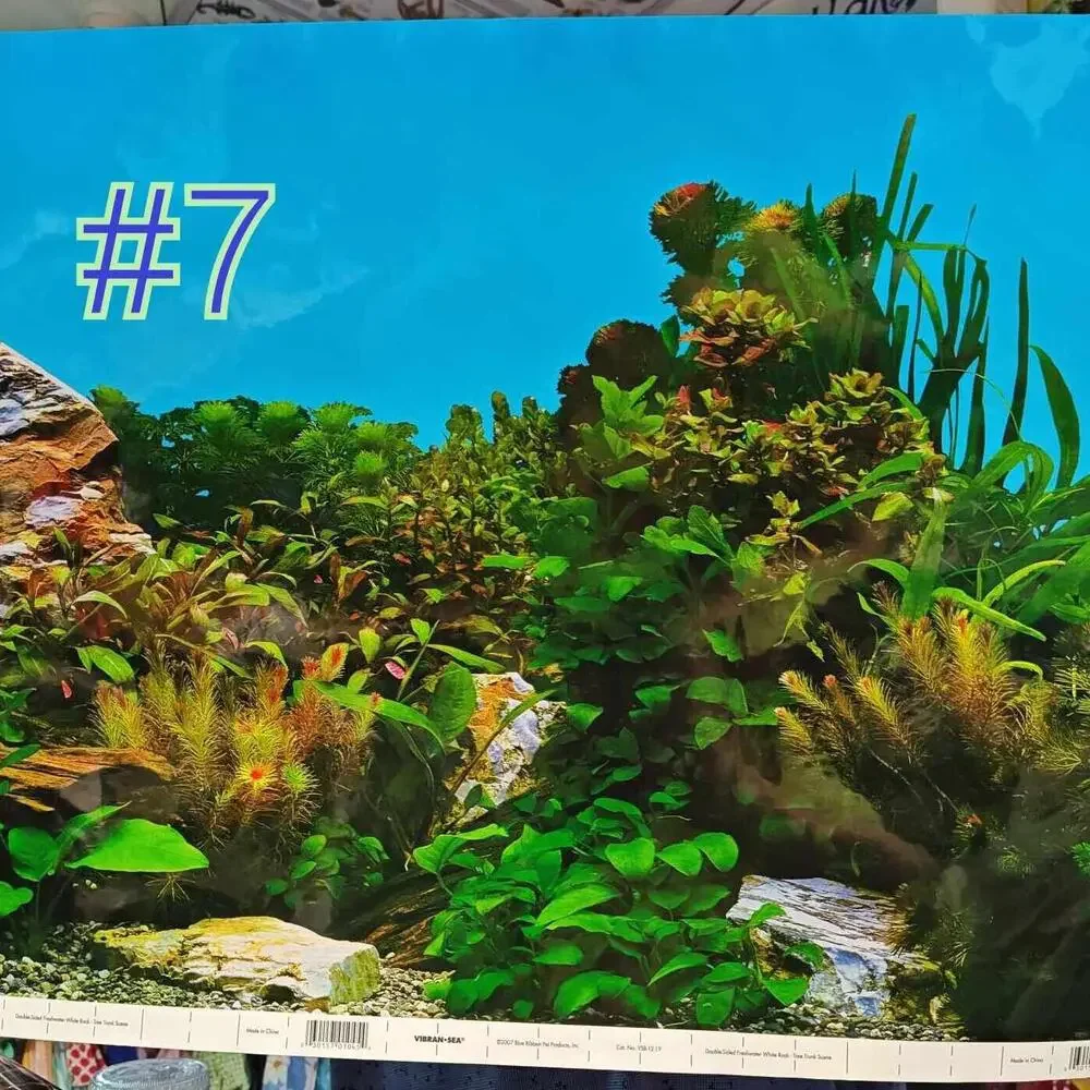 Aquarium/ Reptile Tank Backgrounds Choose your size- Double sided for added fun.